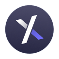 x icon